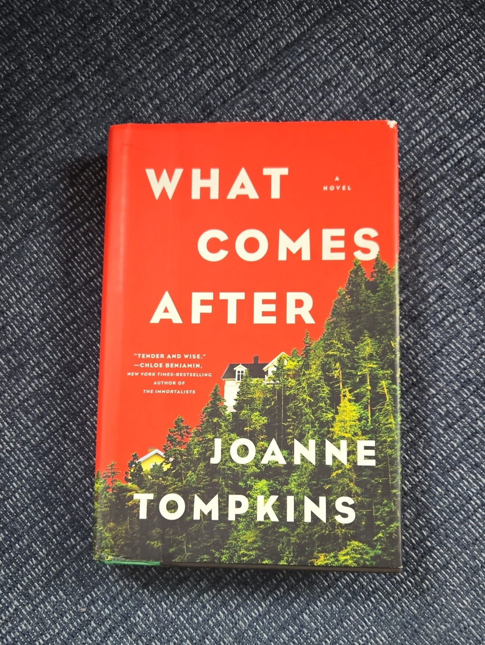 What Comes After by Joanne Tompkins -  Hardcover